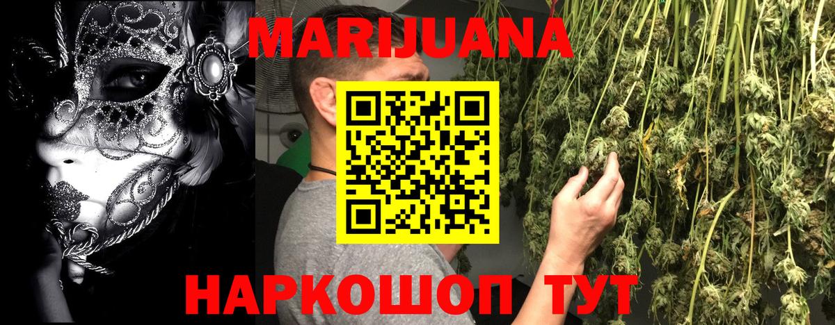 Каннабис конопля  Каннабис SATIVA & INDICA  Кинель  Вход с VPN  Шишки марихуана план 